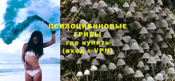 твердый Ижевск