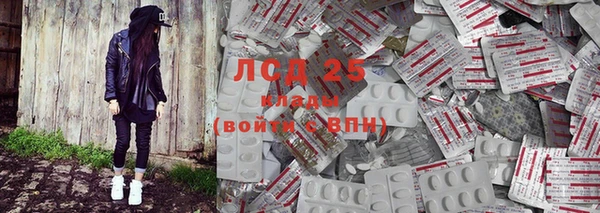 мдпв Верея