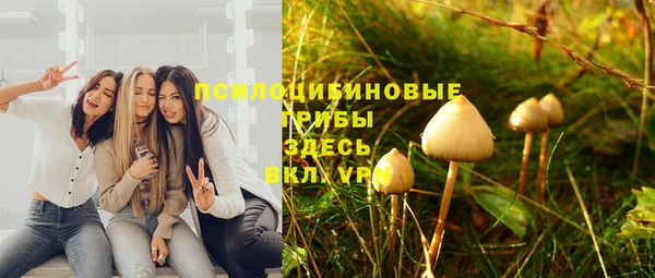 мдпв Верея