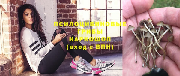 МДПВ Барнаул