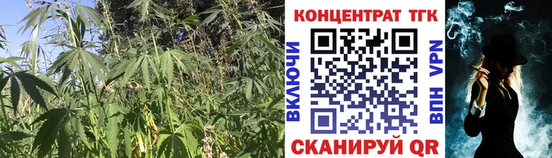 ТГК жижа Купить где Колпашево