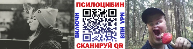 Купить где  Колпашево  Псилоцибиновые грибы Magic Shrooms 